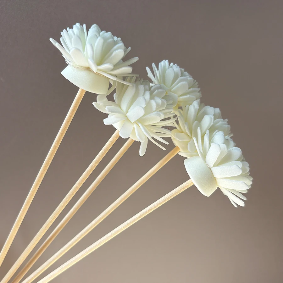 10 قطع من أعواد نشر العطور مع  - مراجعة Aromatherapy Diffuser وسعره
